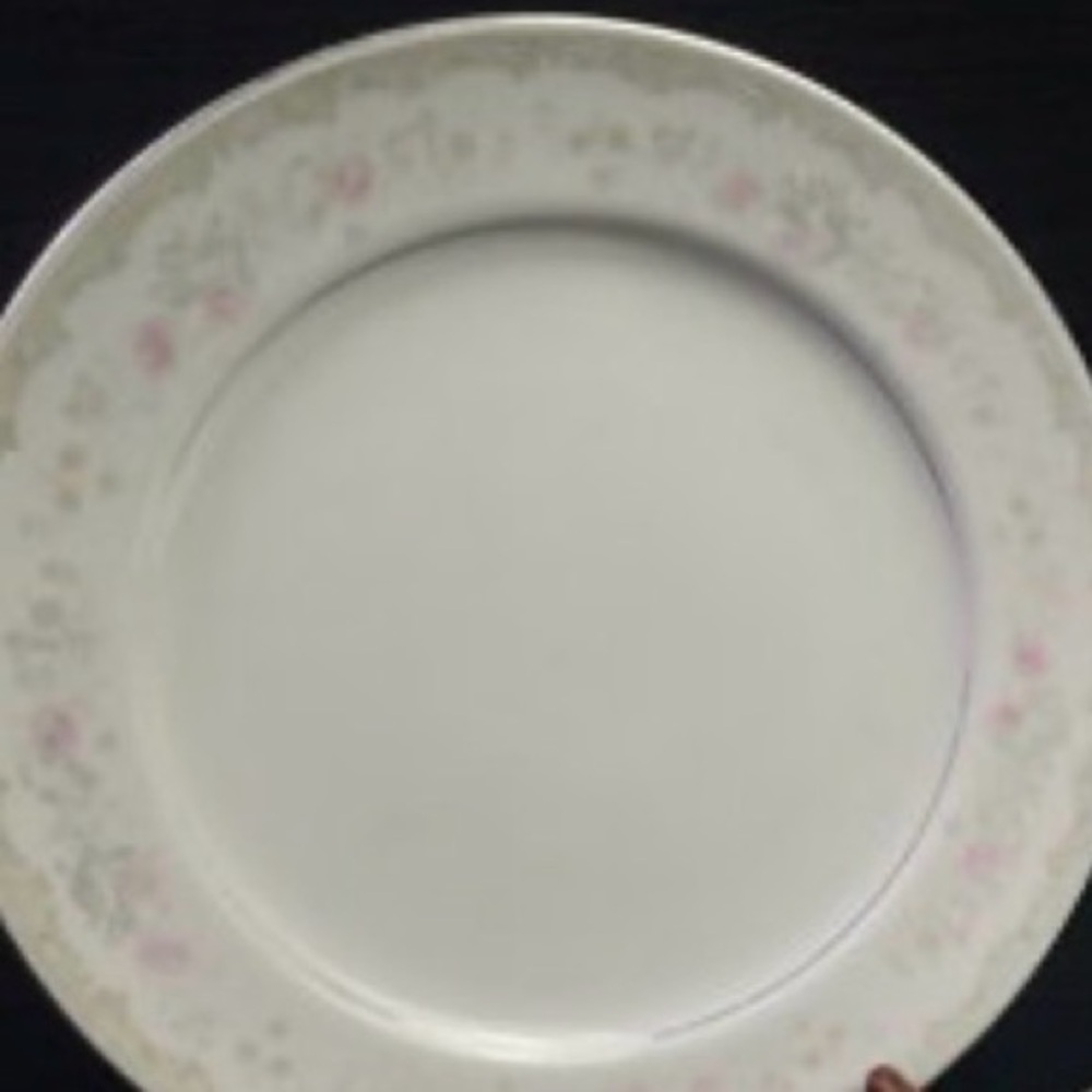 Kenwood Pink and White Floral Dinner Plate Set